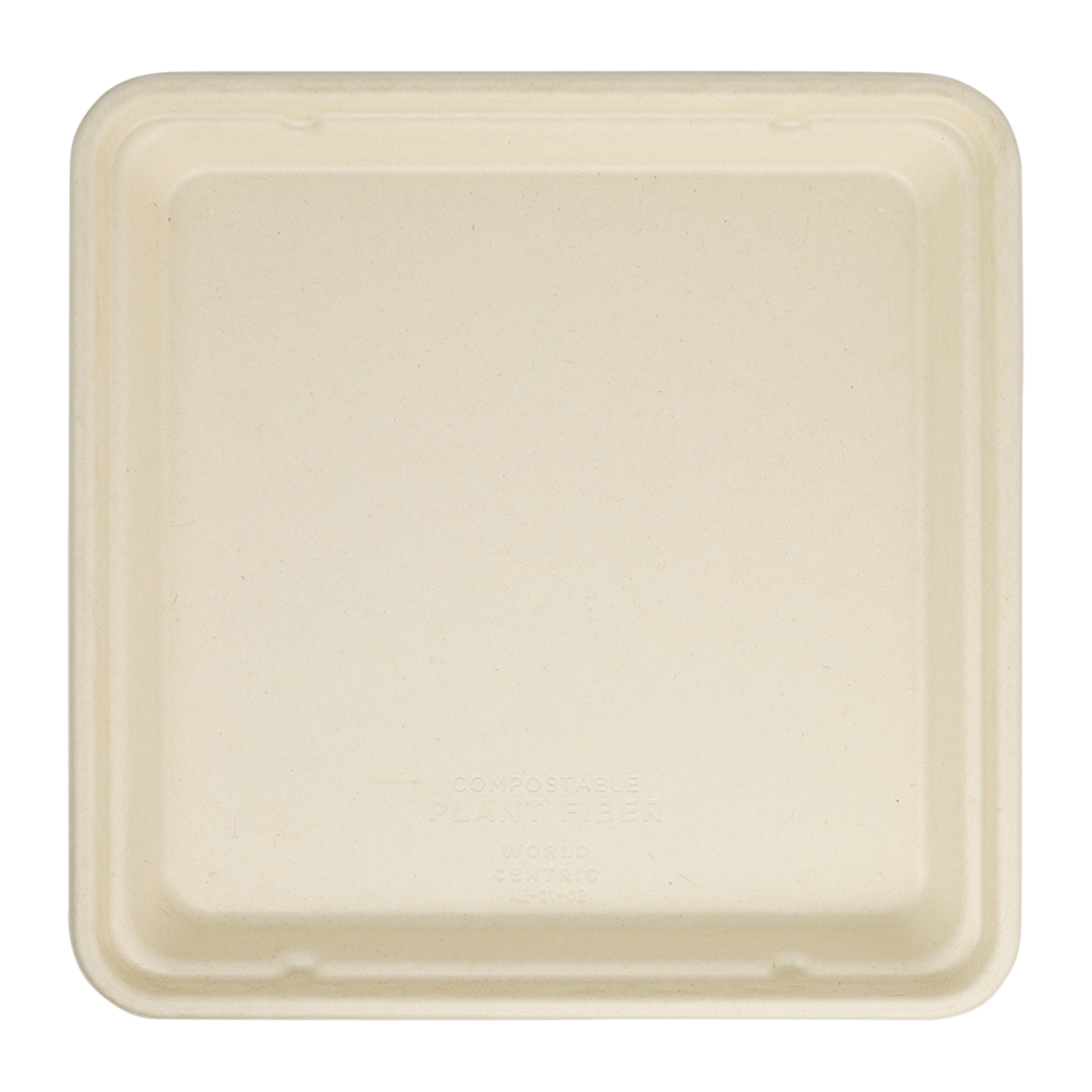 World Centric 9x9 Linear Takeout Container, Shallow | 399-Series | 300/cs