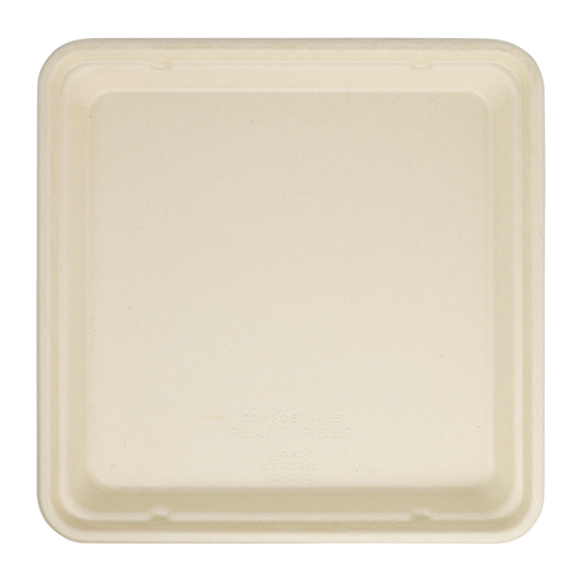 World Centric 9x9 Linear Takeout Container, Shallow  | 399-Series | 300/cs
