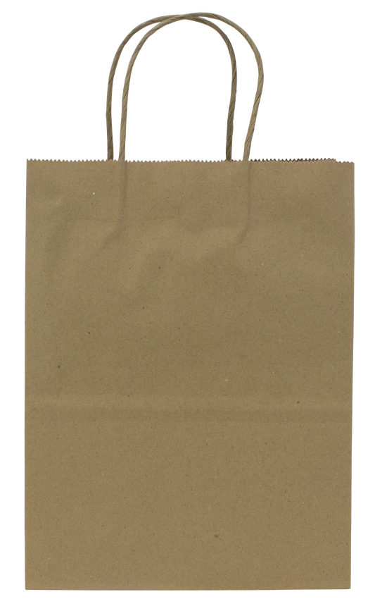 Karat Earth Paper Shopping Bag w/ Handles -  Small | 8.1W x 10.6H x 4.5G | Kraft