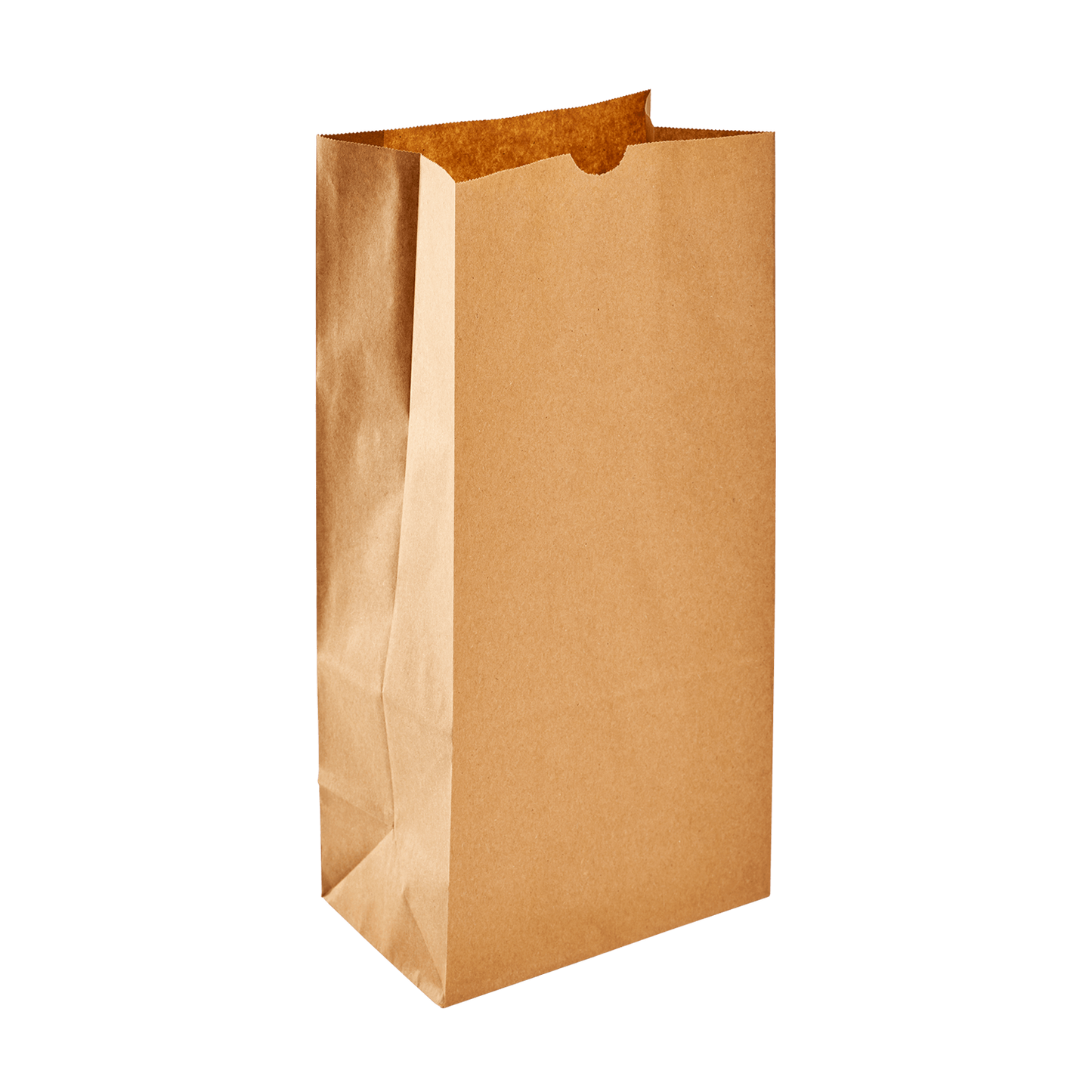 Karat Earth 8lb Paper Bag | Kraft