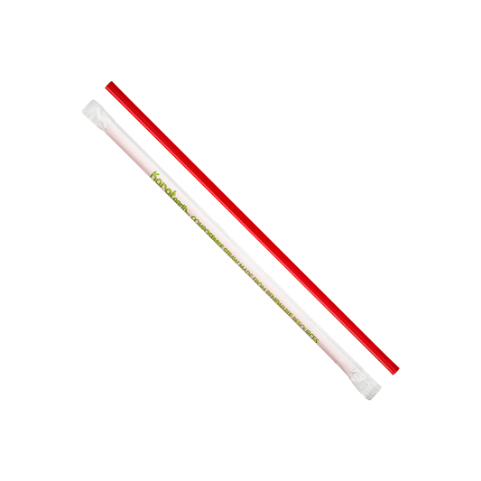 Karat Earth PLA Jumbo 9.5" Straw | Wrapped | Clear