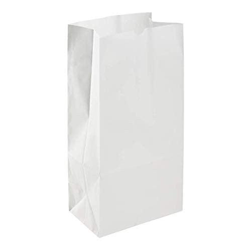 Karat Earth 2lb Paper Bag | White